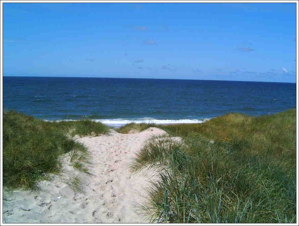 ferienwohnung sylt mit hund westerland