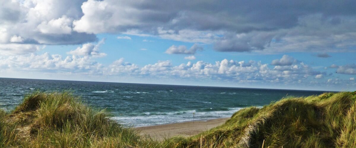 Ferienwohnung mit Hund auf Sylt